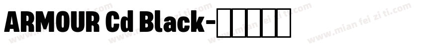 ARMOUR Cd Black字体转换